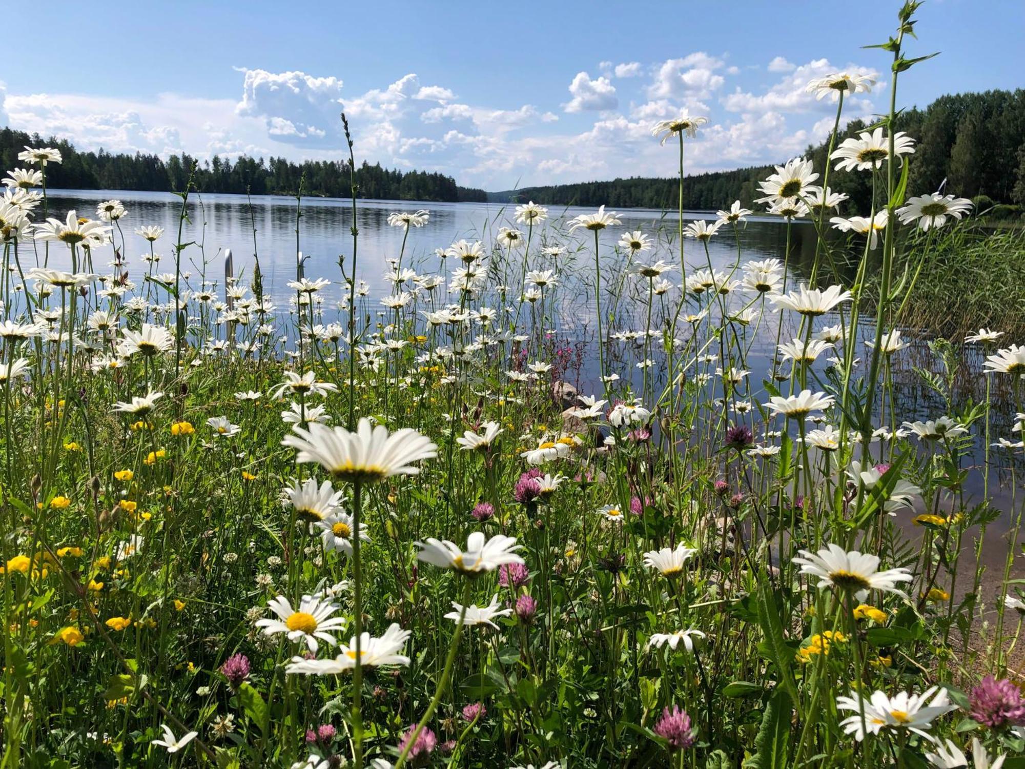 Vehkaniemen Lomatila Pohjaslahti Esterno foto